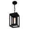 Cwi Lighting Mulvane 1 Light Black Outdoor Hanging Light 0415P7-1-101 - alternate 4